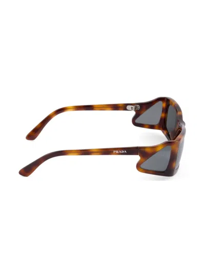 Prada Runway Sunglasses In Brown