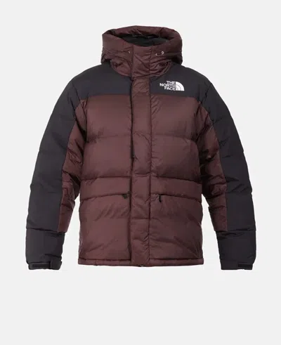 Pre-owned The North Face Jacke Herren In Braun