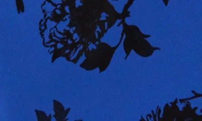 Connected Apparel Floral Flocked Sleeveless Faux Wrap Dress In Cobalt