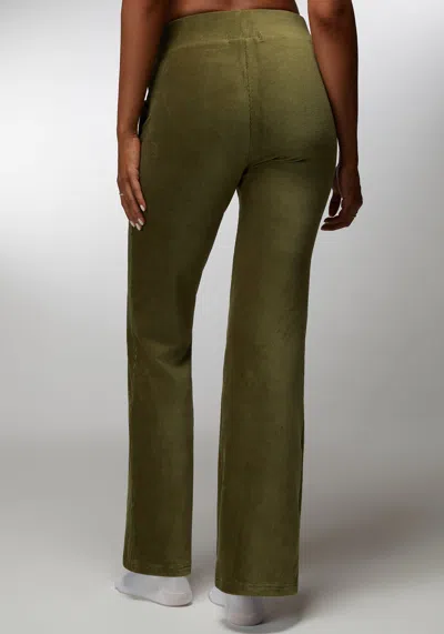 Bebe Micro Cord Flare Pant In Army Green