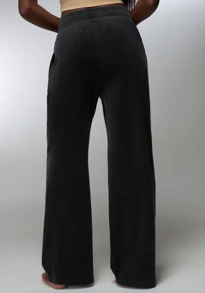 Bebe Velour Corded Wide Leg Pant In Black