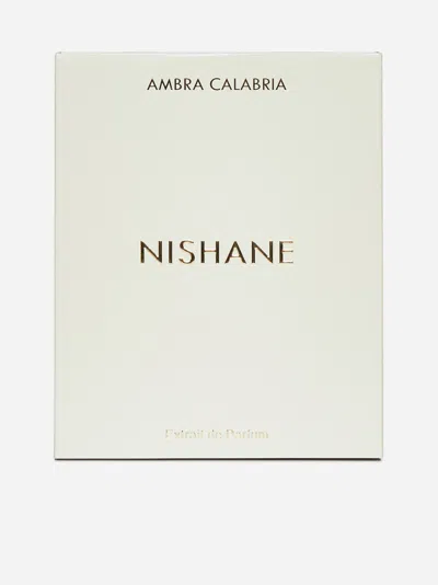 Shop Nishane Ambra Calabria Extrait De Parfum In Trasparent