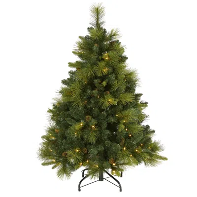 Homplanti 4' Carolina Pine Xmas Tree With 130 Leds 459 Tips & Cones