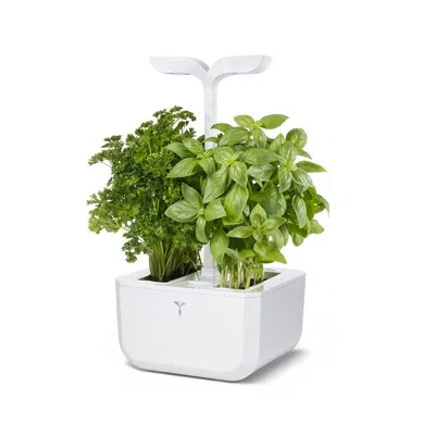 Veritable Exky Classic Indoor Garden, Artic White In Multi