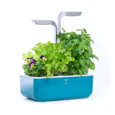 Veritable Smart Indoor Garden, Teal Blue In Blue