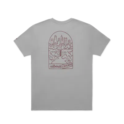 Allbirds Unisex Organic Cotton Graphic Tee In Medium Grey/thunder Red - Chi
