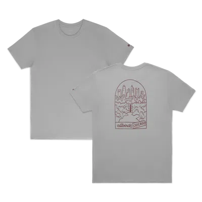 Allbirds Unisex Organic Cotton Graphic Tee In Medium Grey/thunder Red - Chi