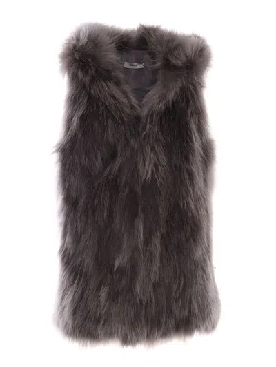 Shop Bully Fur In Gray