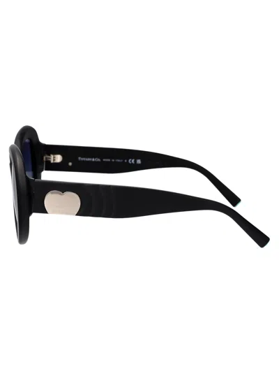 Tiffany & Co Tiffany Matte Black Acetate Sunglasses