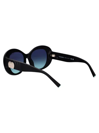 Tiffany & Co Tiffany Matte Black Acetate Sunglasses
