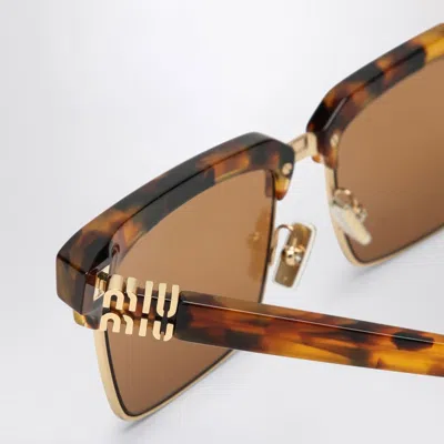 Miu Miu Runway Sunglasses In Brown