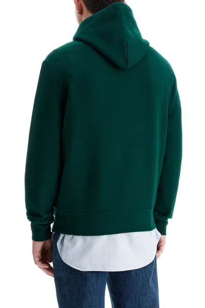 Shop Polo Ralph Lauren Hooded Sweatshirt With