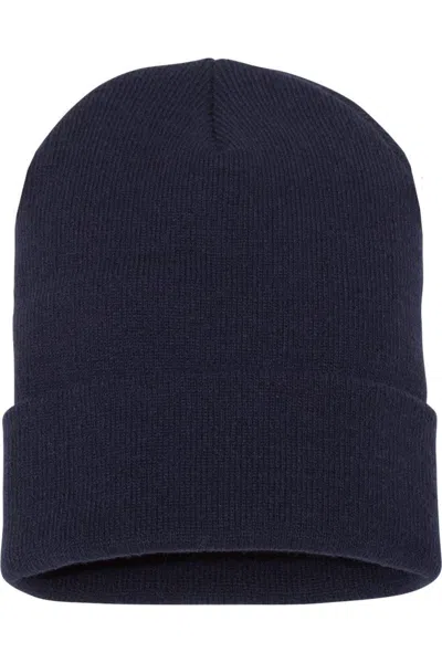 Yp Classics Cuffed Beanie In Blue