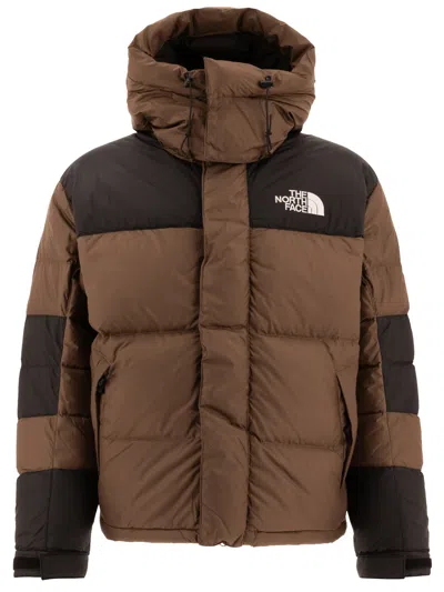 Shop The North Face Himalayan Baltoro Jackets In Brown