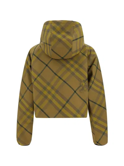 Shop Burberry Jackets In Brown