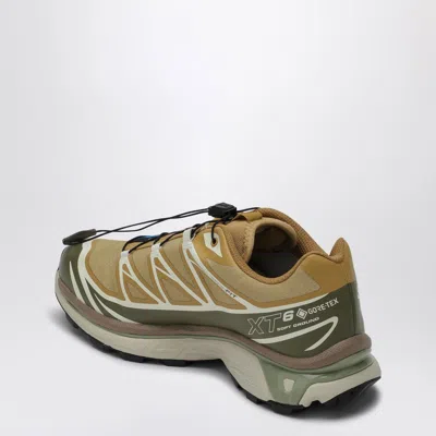 Salomon Xt-6 Gtx Sneakers In Multicolor