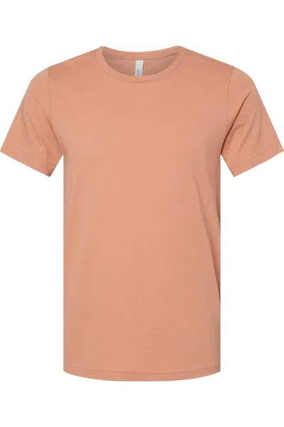Bella+canvas Triblend Tee In Brown