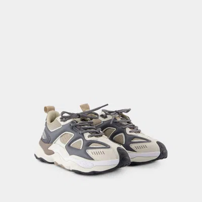 Axel Arigato Foam Collar Runner Branded Webbing