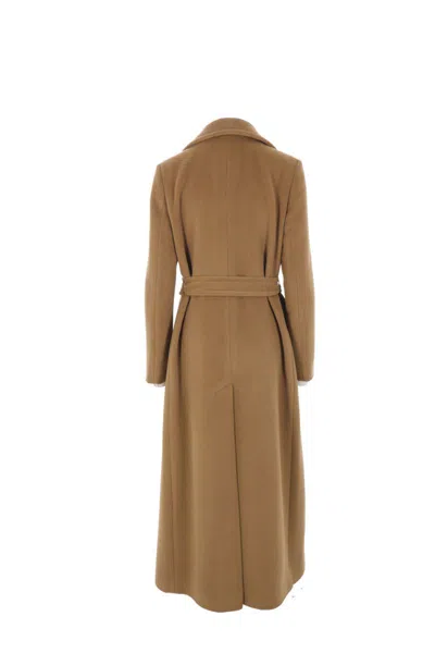 Shop Tagliatore Coats In Brown