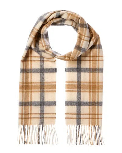 Amicale Cashmere Scottish Plaid Cashmere Scarf In Brown