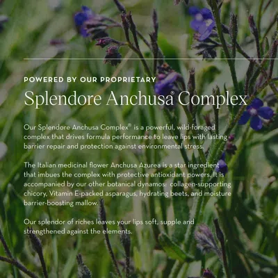 Furtuna Skin Olive Lip Butter Balm