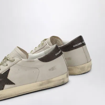 Golden Goose Star Detail Sneakers With Snakeskin Accents