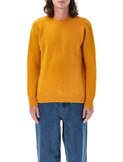 Howlin' Howlin Shaggy Bear Sweater
