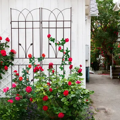 Streamdale Furniture Streamdale 2 Pack Metal Garden Trellis 71" X 17.7" Rustproof Trellis For Climbing Plants Outdoor Flo