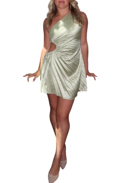 Saints + Secrets Perfect Day Mini Dress In Sage In Multi