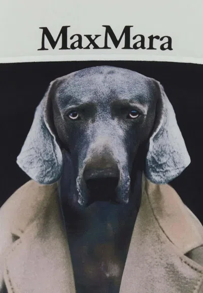 Max Mara Face Powder Weimaraner Graphic T-shirt In White
