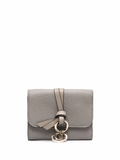 Shop Chloé Wallets In Cashmere Grey