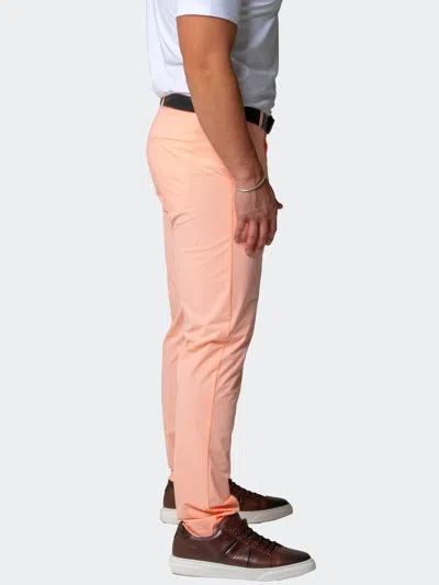 Scaling Pants Sunpeach Pink In Pink