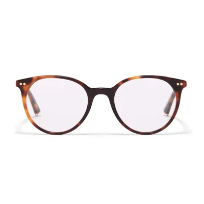 Taylor Morris Eyewear Tm040-c2
