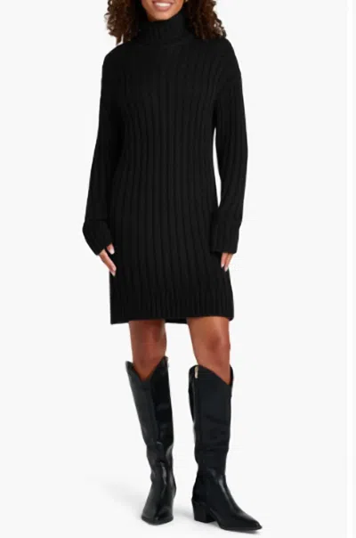 Splendid Felicity Turtleneck Long Sleeve Mini Sweater Dress In Black