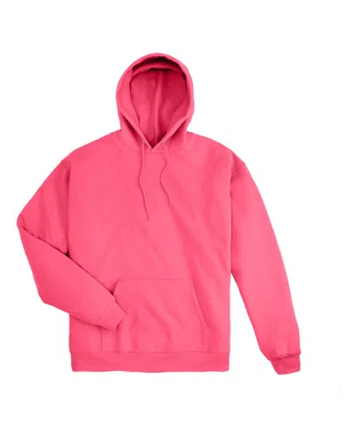 Hanes Men's Ecosmart Hooded Sweatshirt In Multi