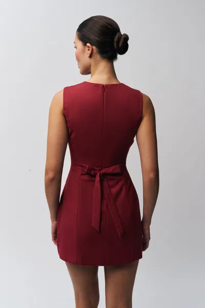 Danielle Guizio Ny Rowan Dress In Deep Red