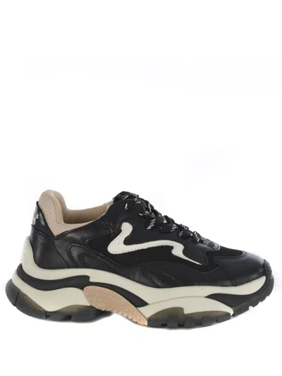 Ash Lace-up Low-cut Sneakers In Black