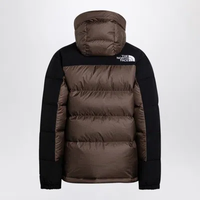 The North Face Womens Coal Brown-tnf Black Himalayan Logo-embroidered Shell-down Jacket