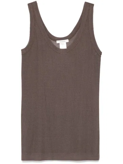 Lemaire Mud Viscose Blend Tank Top In Brown