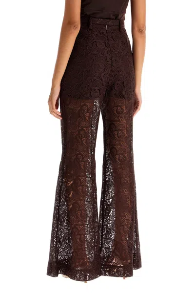 Zimmermann Illustration Belted Guipure Lace Flared Pants In Brown
