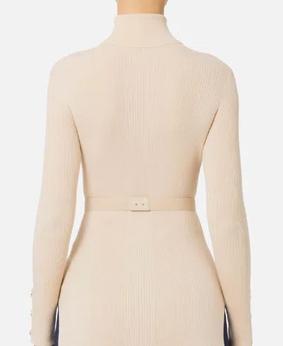 Elisabetta Franchi Sweaters