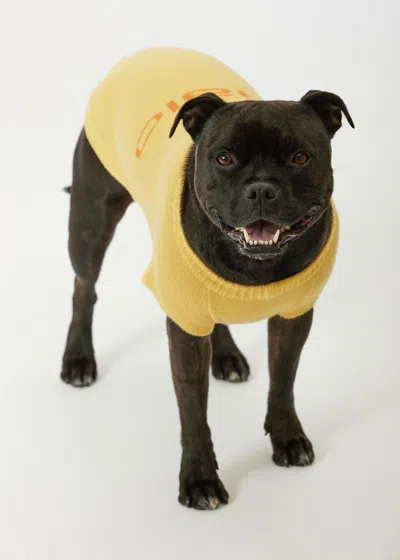 Malo Maglioncino In Cashmere Less Is More, Mog