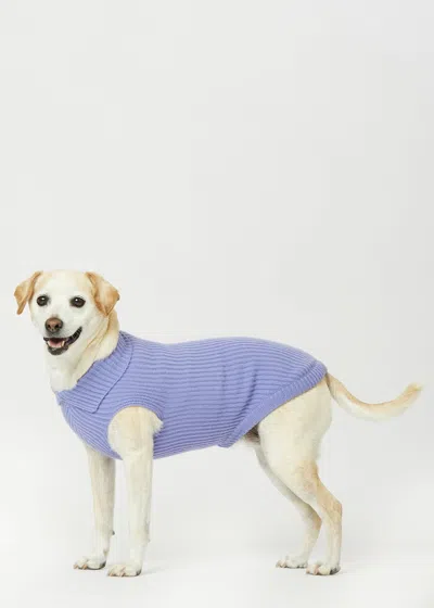 Malo Maglioncino In Cashmere Timeless Love, Mog