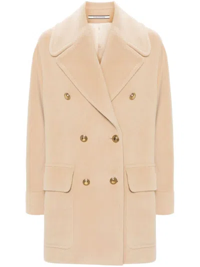 Tagliatore Coats & Jackets