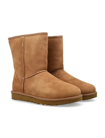 Shop Ugg Classic Short Ii Boot In Brown