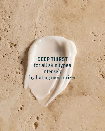 Credo Skincare Deep Thirst Vetiver Root + Hyaluronic Acid Moisturizer For Dry Skin