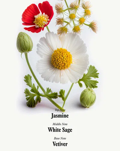 Uni Skin Shield Body Wash