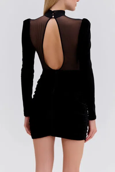Patbo Velvet And Stretch Tulle Mini Dress