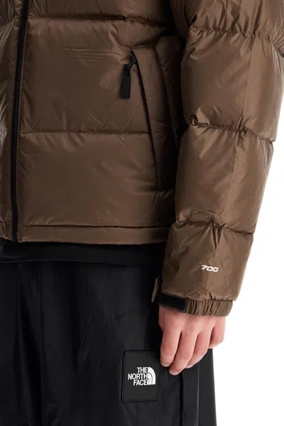 The North Face Brown Hmlyn Baltoro Down Jacket