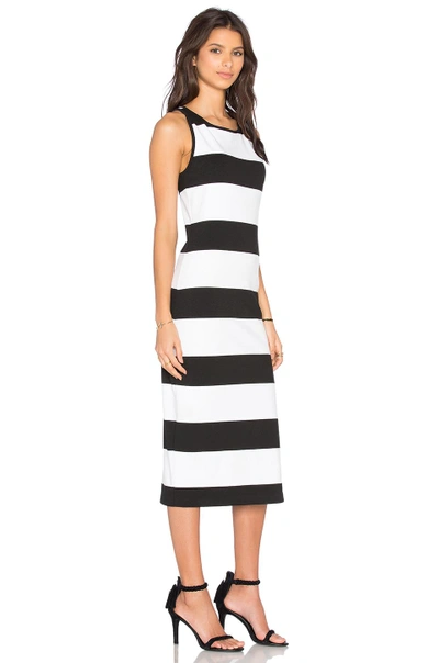 Shop Bb Dakota Francesca Dress In Black & White